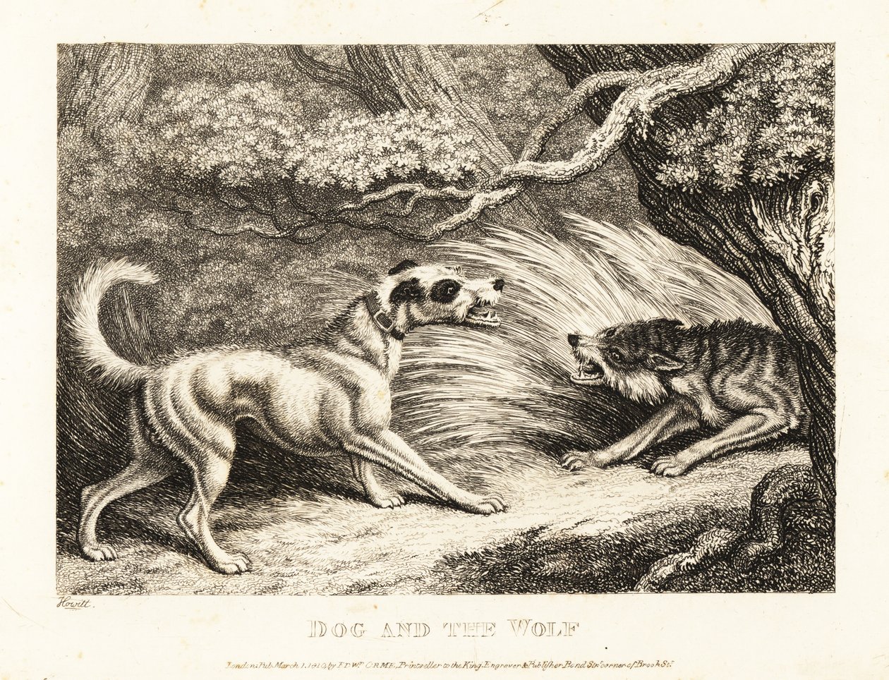 Un chien de maison avec un collier offre de la nourriture à un loup affamé. 1811 - Samuel Howitt