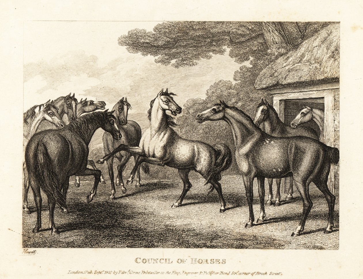 Un jeune poulain tente de provoquer une mutinerie dans les écuries. 1811 (eau-forte) - Samuel Howitt