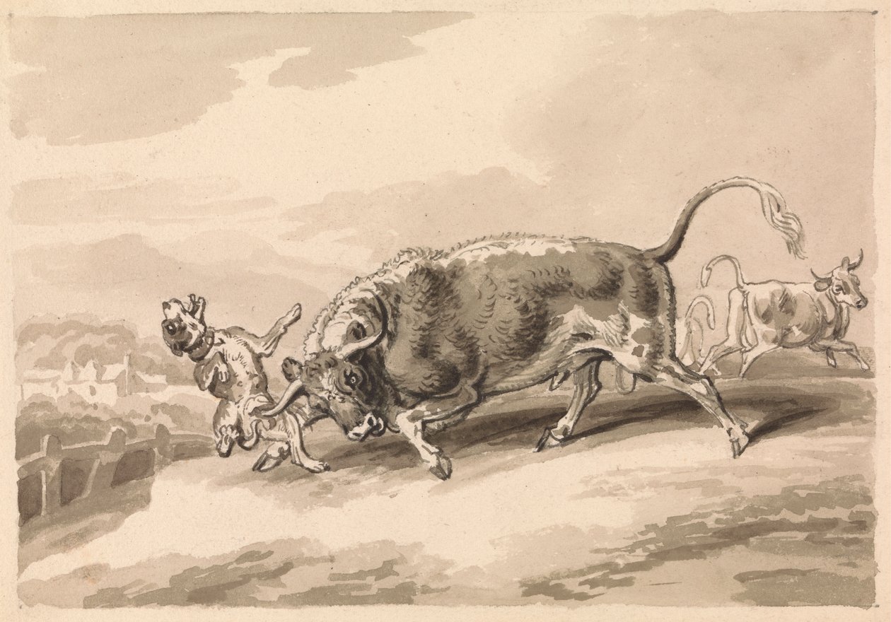 Taureau attaquant un mâtin - Samuel Howitt