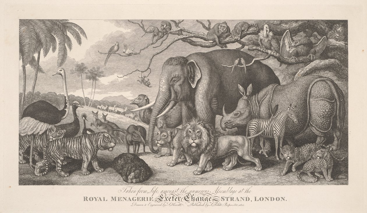 Pris sur le vif, parmi la nombreuse assemblée de la ménagerie royale, Exeter Exchange, Strand, Londres - Samuel Howitt