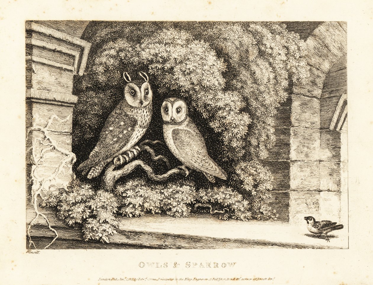 Deux hiboux et un moineau - Samuel Howitt