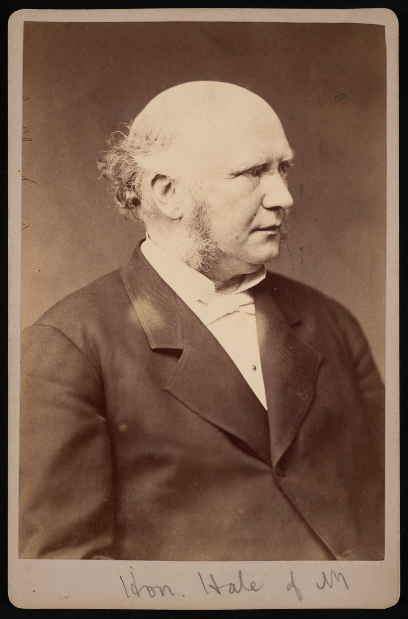 Portrait de Robert Safford Hale - Samuel Montague Fassett