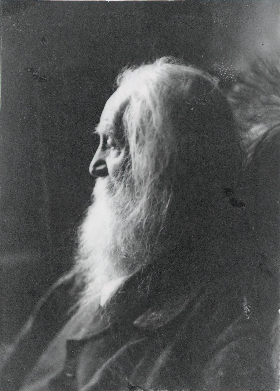 Walt Whitman à Camden, N.J., vers 1891 - Samuel Murray