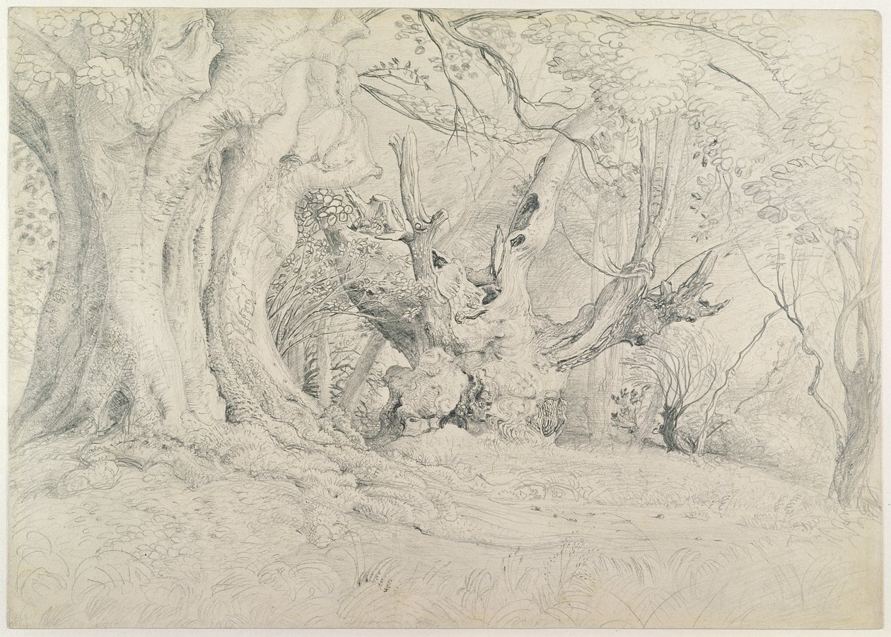 Arbres anciens, parc de Lullingstone, 1828 - Samuel Palmer