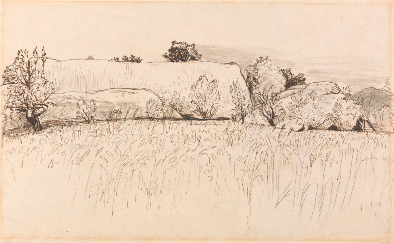 Champs de maïs avec grange, Shoreham - Samuel Palmer
