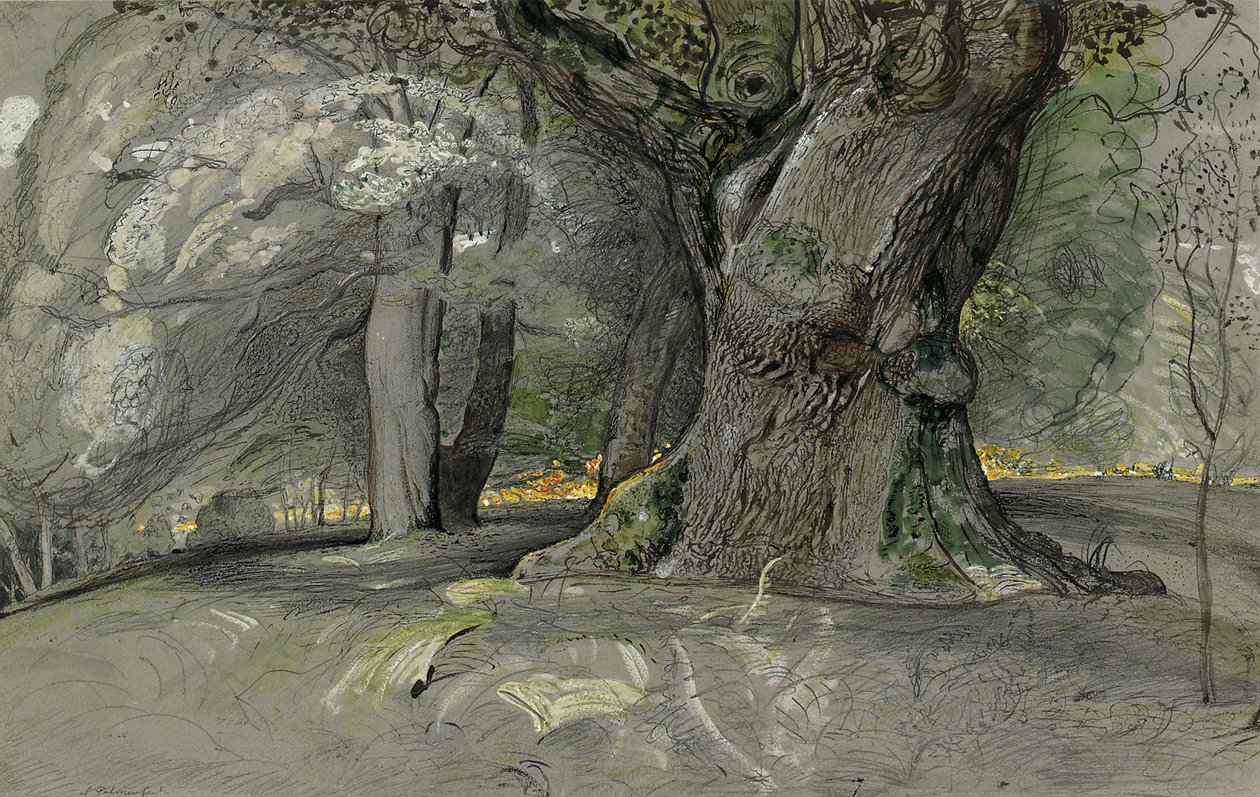 Chêne et hêtre, parc de Lullingstone - Samuel Palmer