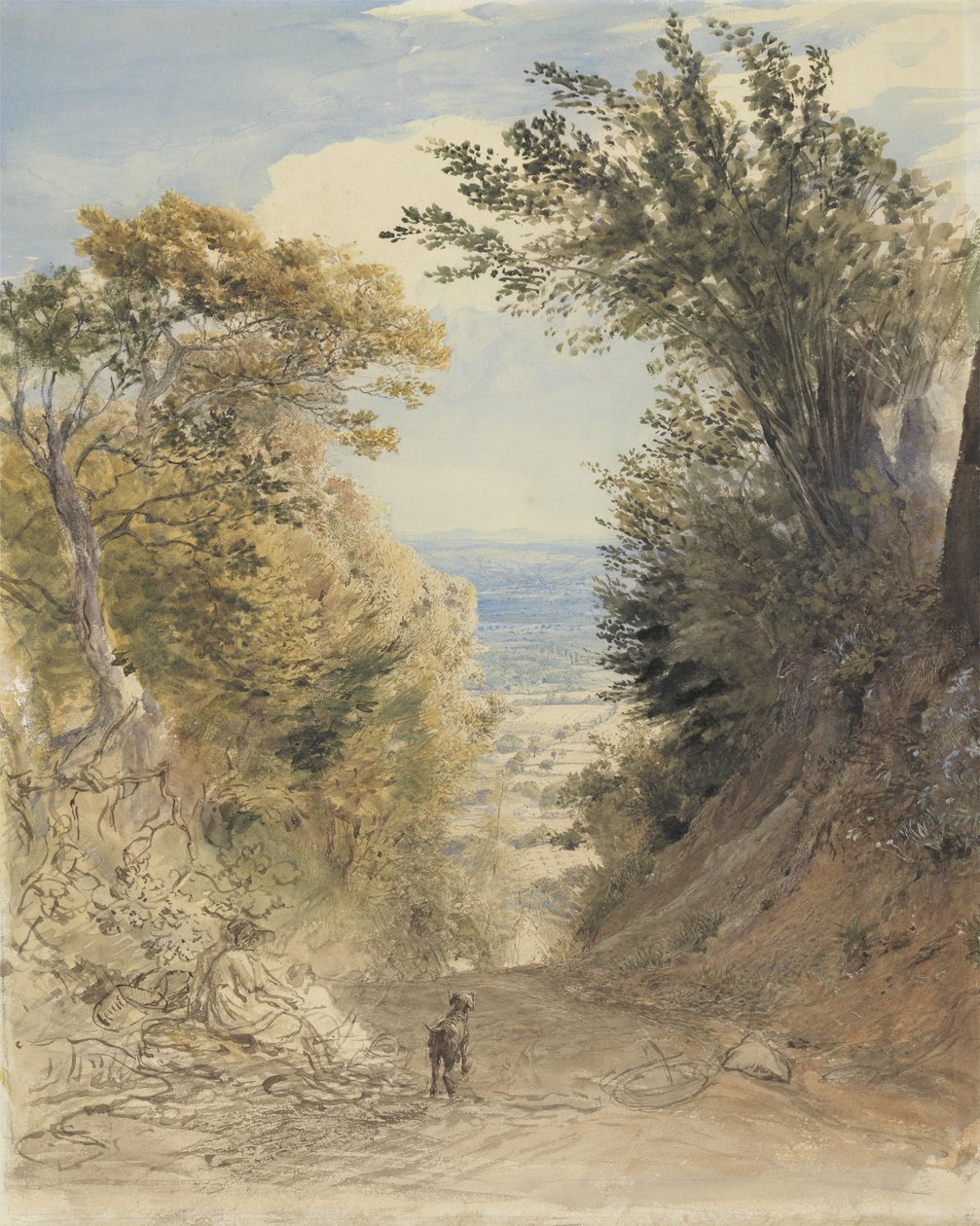 Vue de Rook