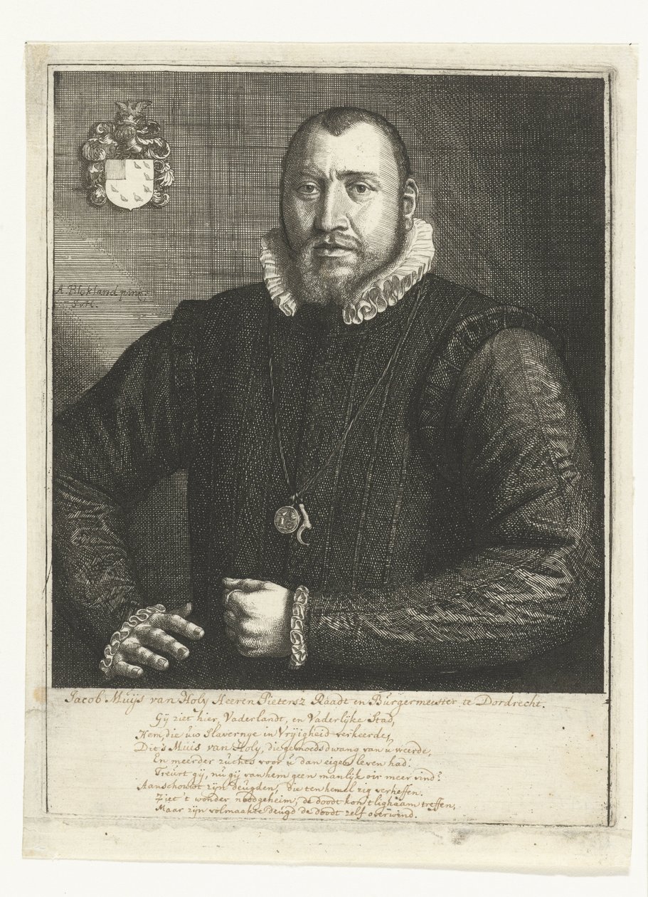 Portrait de Jacob Muys van Holy - Samuel van Hoogstraten