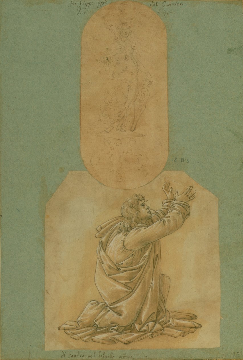 Étude de Saint Thomas - Sandro Botticelli