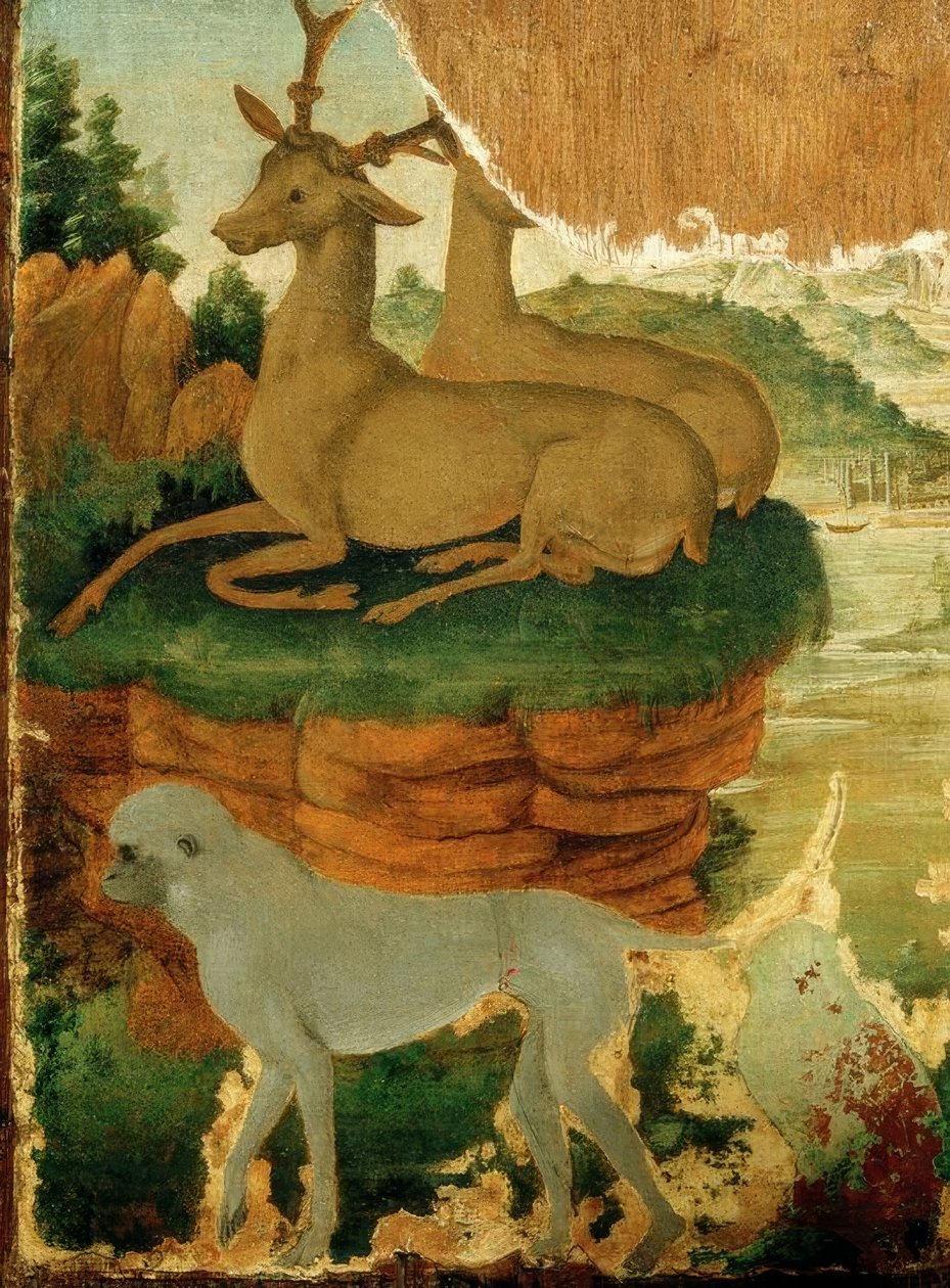 Paysage avec chevreuils et singes - Sandro Botticelli