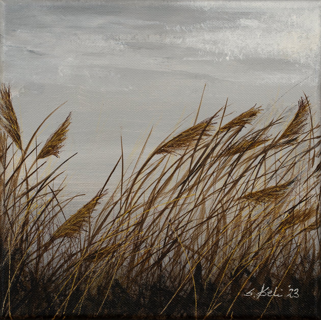  - Sandy Iseli