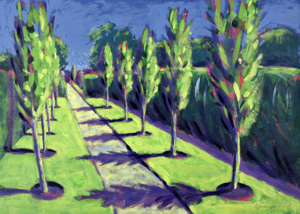 Avenue - Sara Hayward