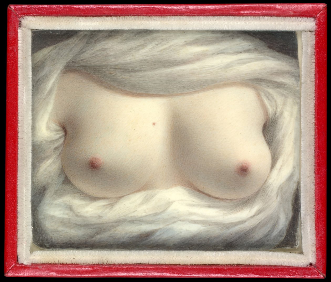 Beauté révélée - Sarah Goodridge