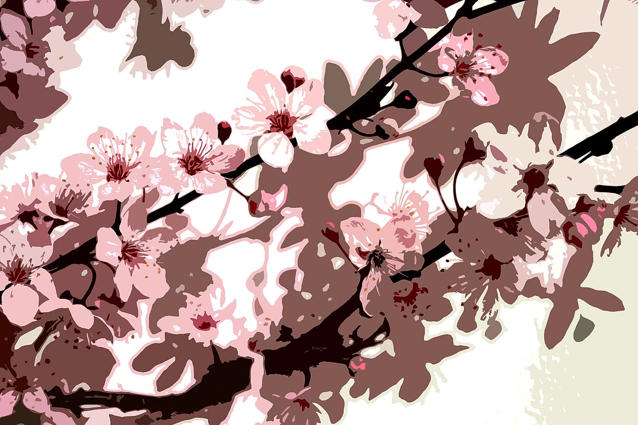 Fleur de cerisier japonais - Sarah OToole