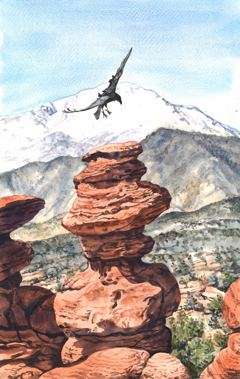 Balance, 2024 (Aquarelle sur papier) - Sarah Drummond