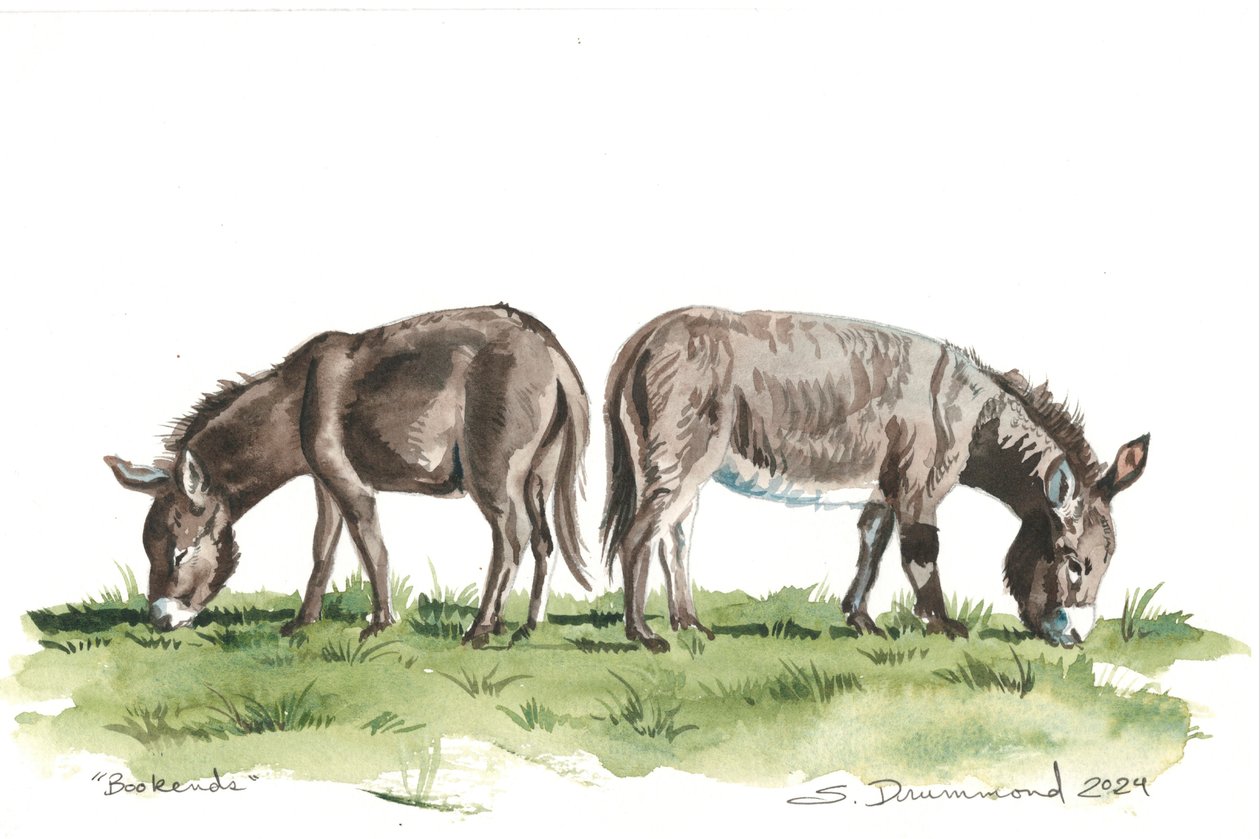 Serre-livres, 2024 (aquarelle sur papier) - Sarah Drummond