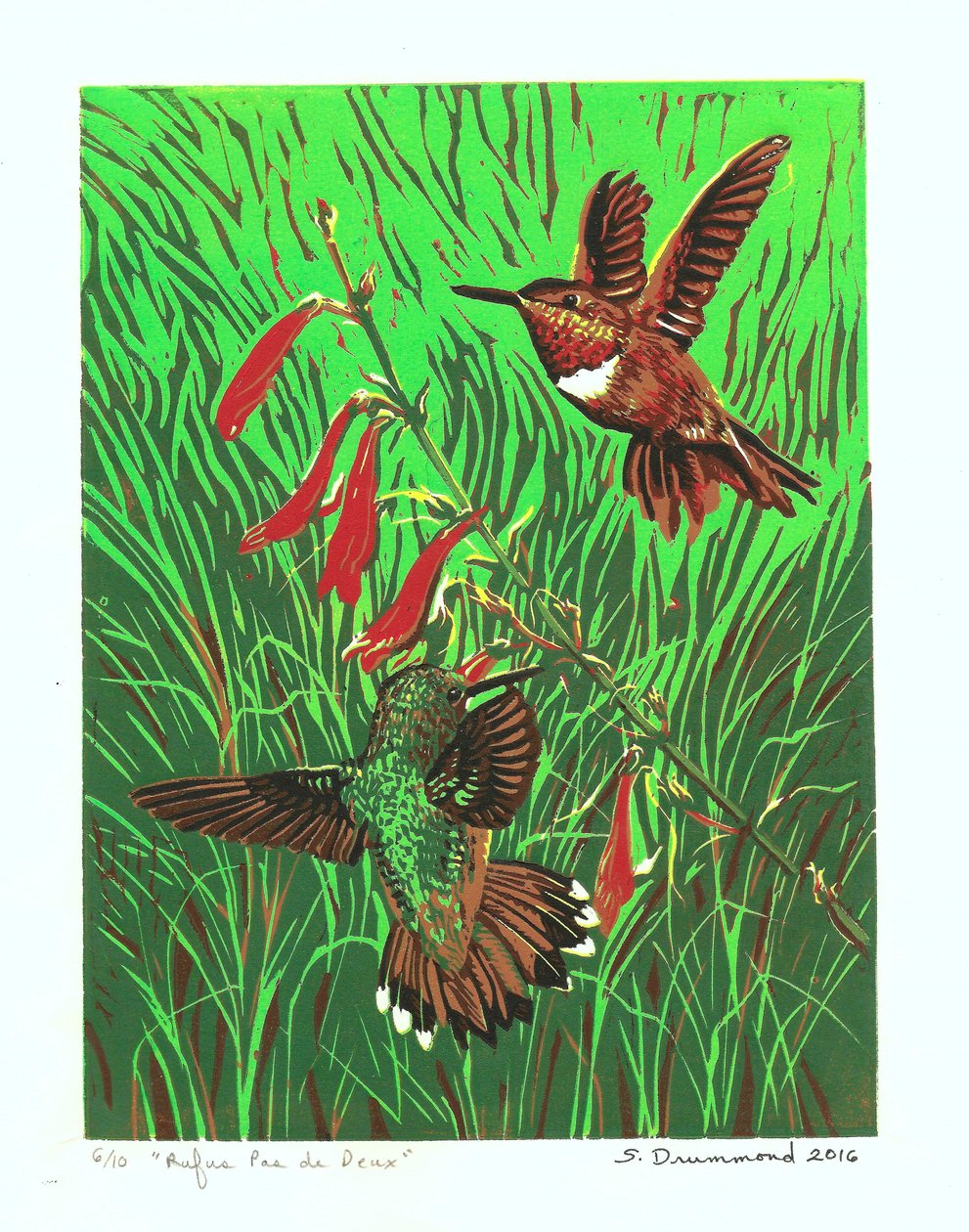 Rufus Pas de Deux, 2016 (Linocut ) - Sarah Drummond