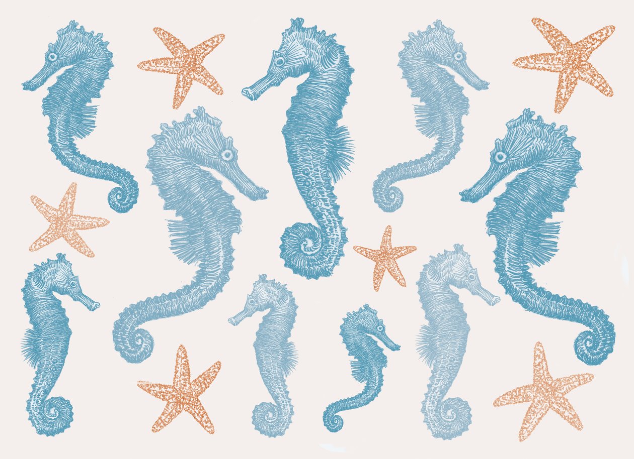 Hippocampes et étoiles de mer - Sarah Hough