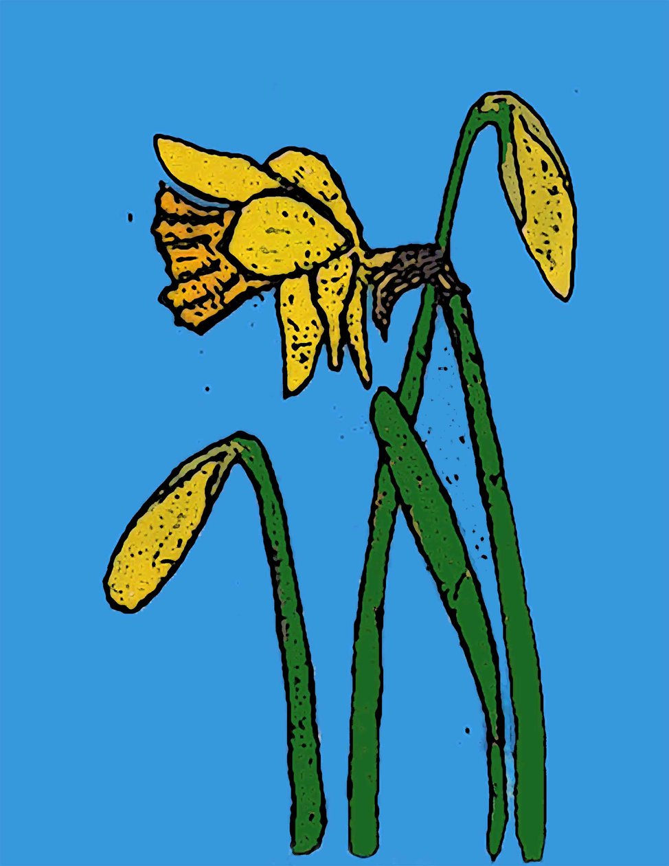 Jonquilles, 2015 - Sarah Thompson Engels