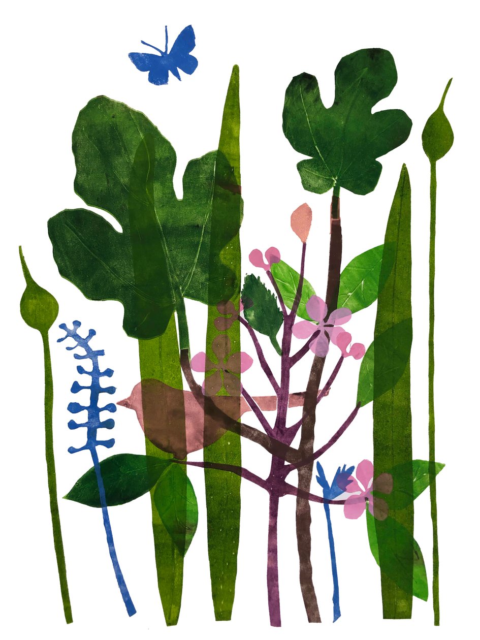 Feuilles de figuier - Sarah Thompson-Engels