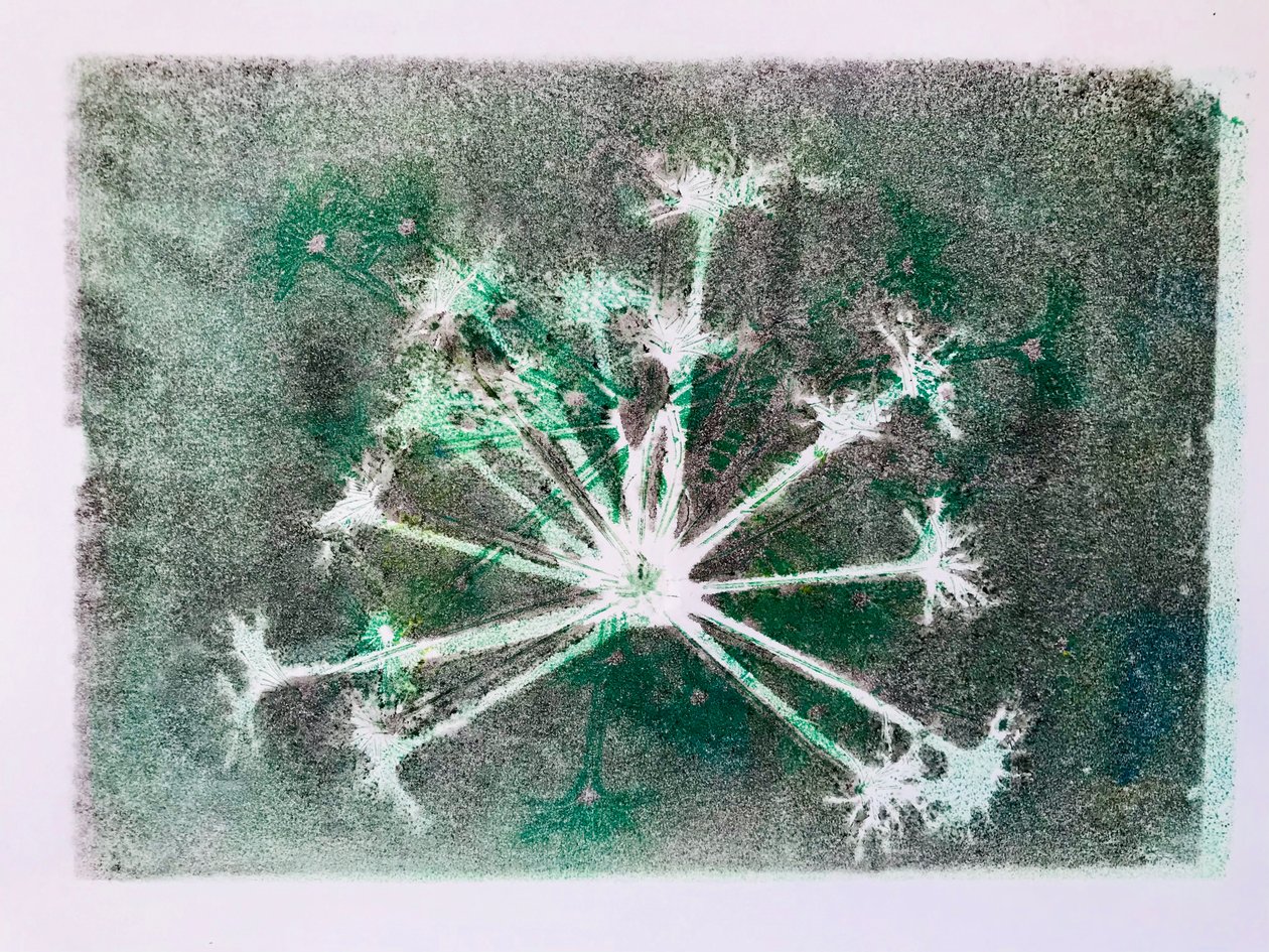 Graine I, 2020 - Sarah Thompson Engels