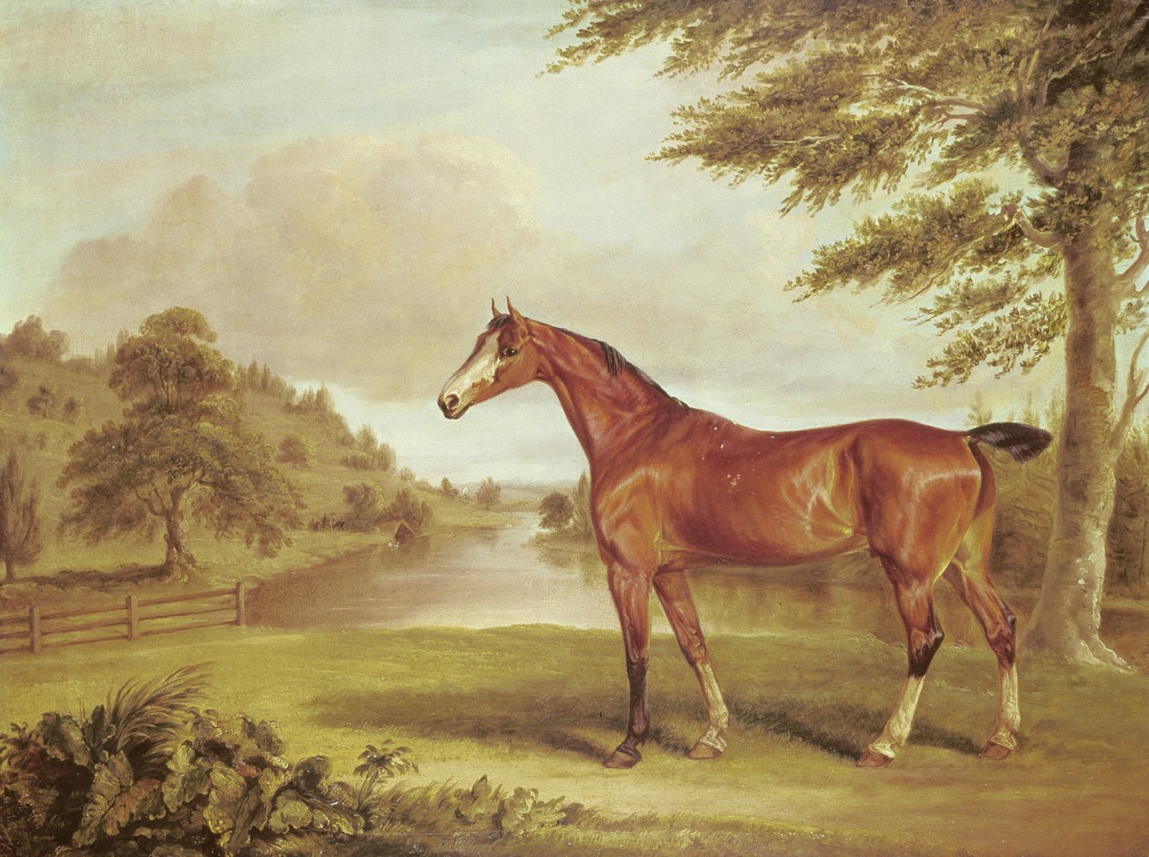 Chasseur bai dans un paysage boisé avec rivière - Sawrey Gilpin