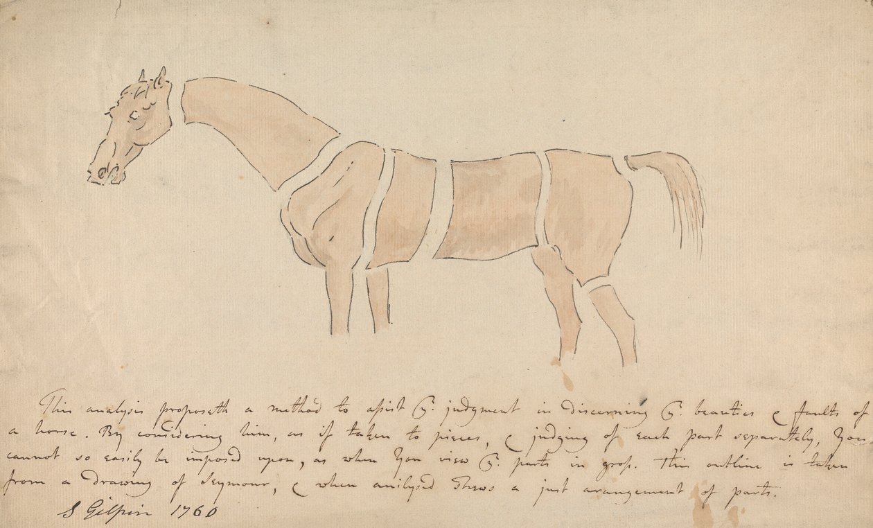 Parties du cheval bien proportionné - Sawrey Gilpin