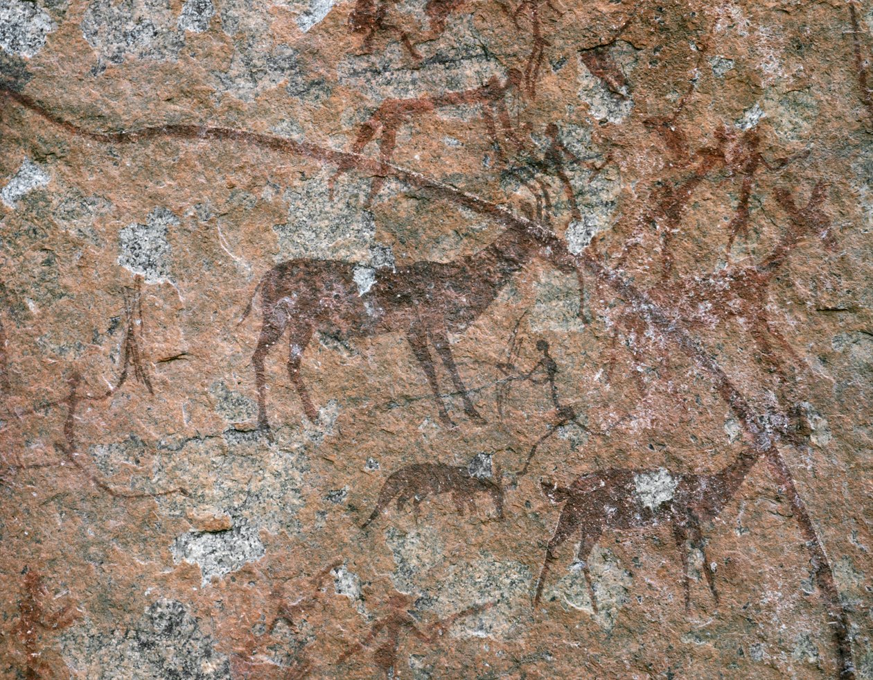 ART AFRICAIN : Peinture rupestre à Ngomo Carera dans la chaîne de Domboshawa, à 20 miles au nord-est... (fresque) - School African