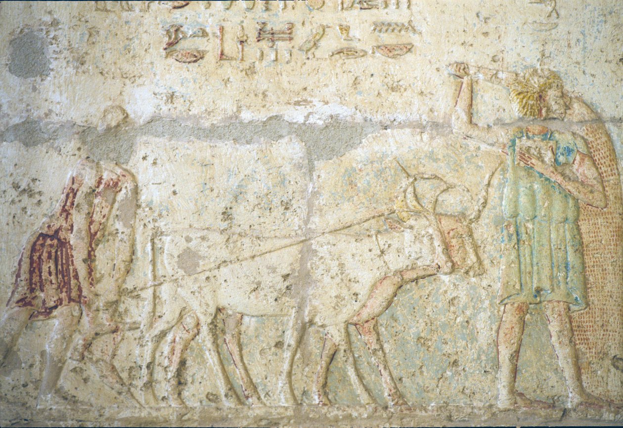 Égypte ancienne, Sculpture/peinture murale, Tombe de Petosiris, Tuna el-Gebel, 300 av. J.-C., Labour et semis des cultures - School Egyptian