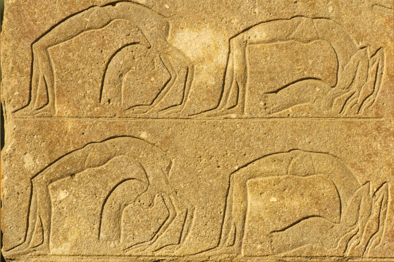Égypte ancienne, peinture/sculpture murale, acrobates féminines en performance, temple de Karnak, Louxor - School Egyptian