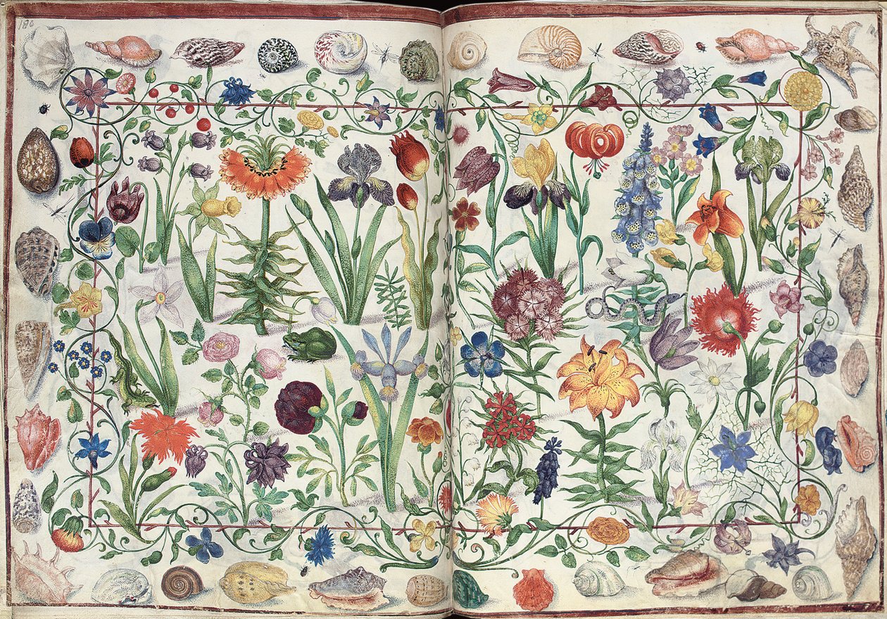 Pages de l