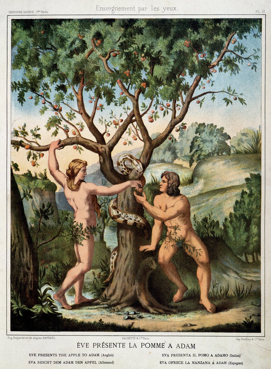 Ève présente la pomme à Adam - School French