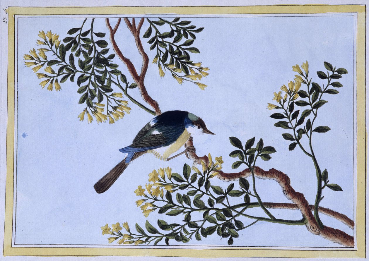 Oiseau - Estampe japonaise - Japanese School