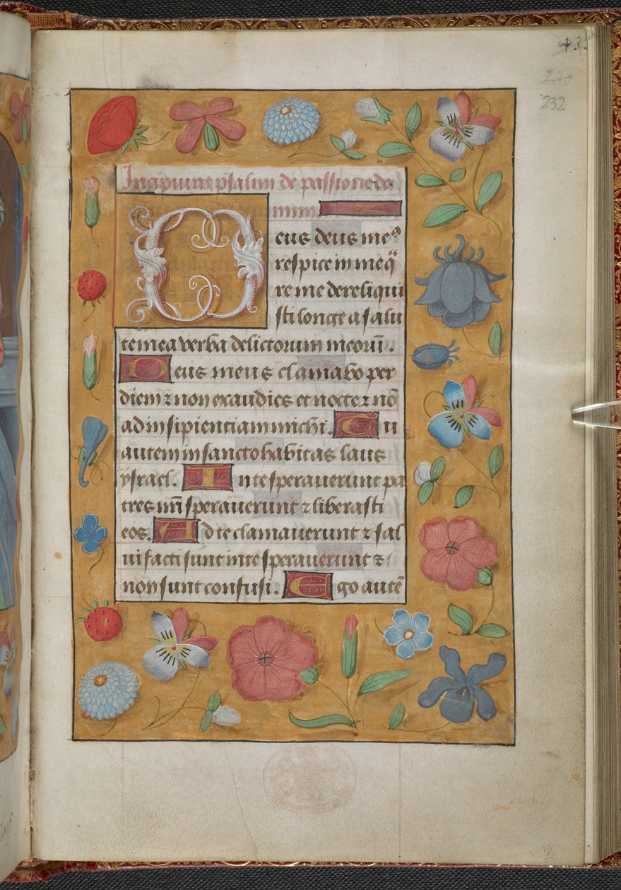 Rois 9, f.232r, Livre d
