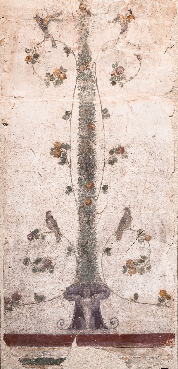 Oiseaux et fruits - School Roman