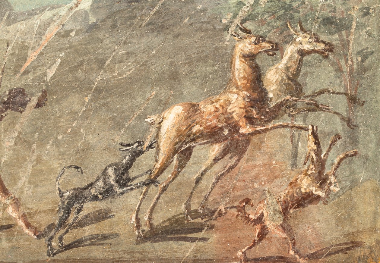 Aime la chasse, Herculanum - School Roman