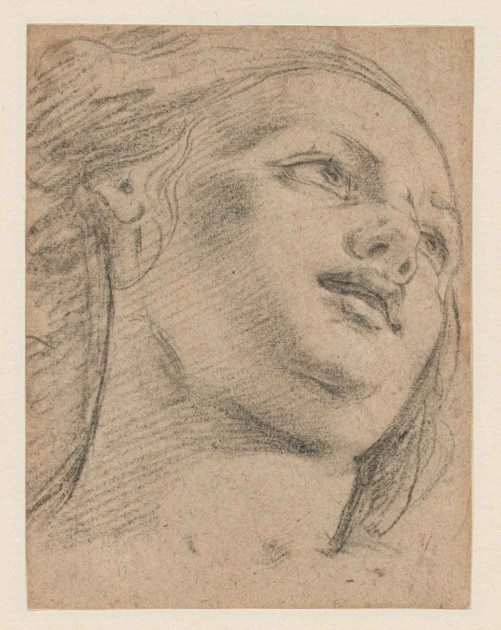 Étude de tête féminine regardant vers la droite (recto); Étude de deux figures soutenant un objet (verso) - School of Guido Reni