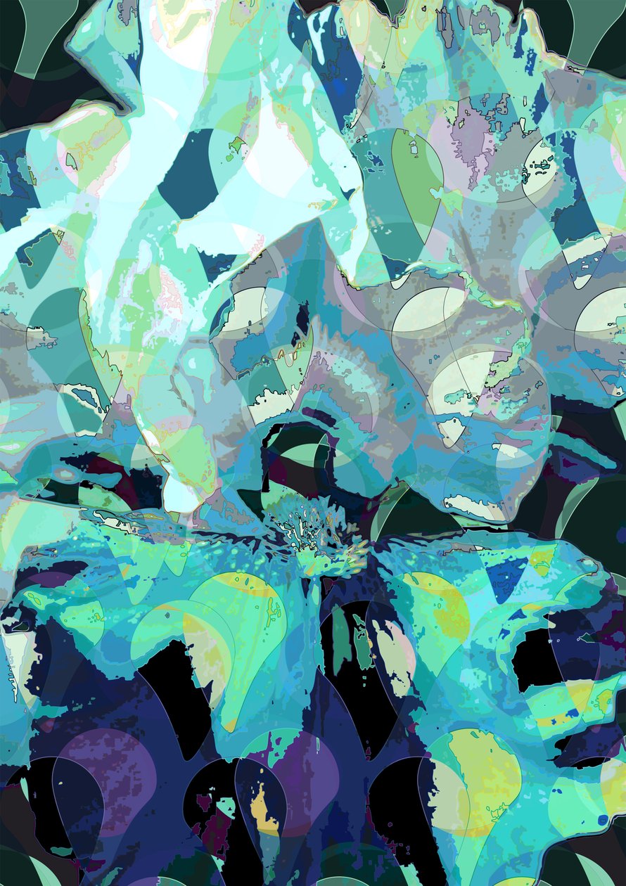 Iris - Scott J. Davis