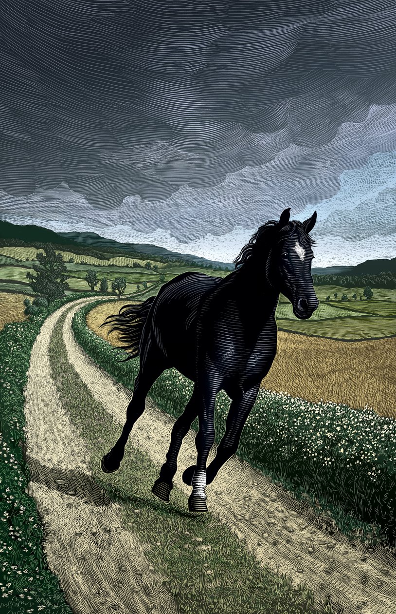 Black Beauty, 2004 (scratchboard, colorisé numériquement) - Scott McKowen