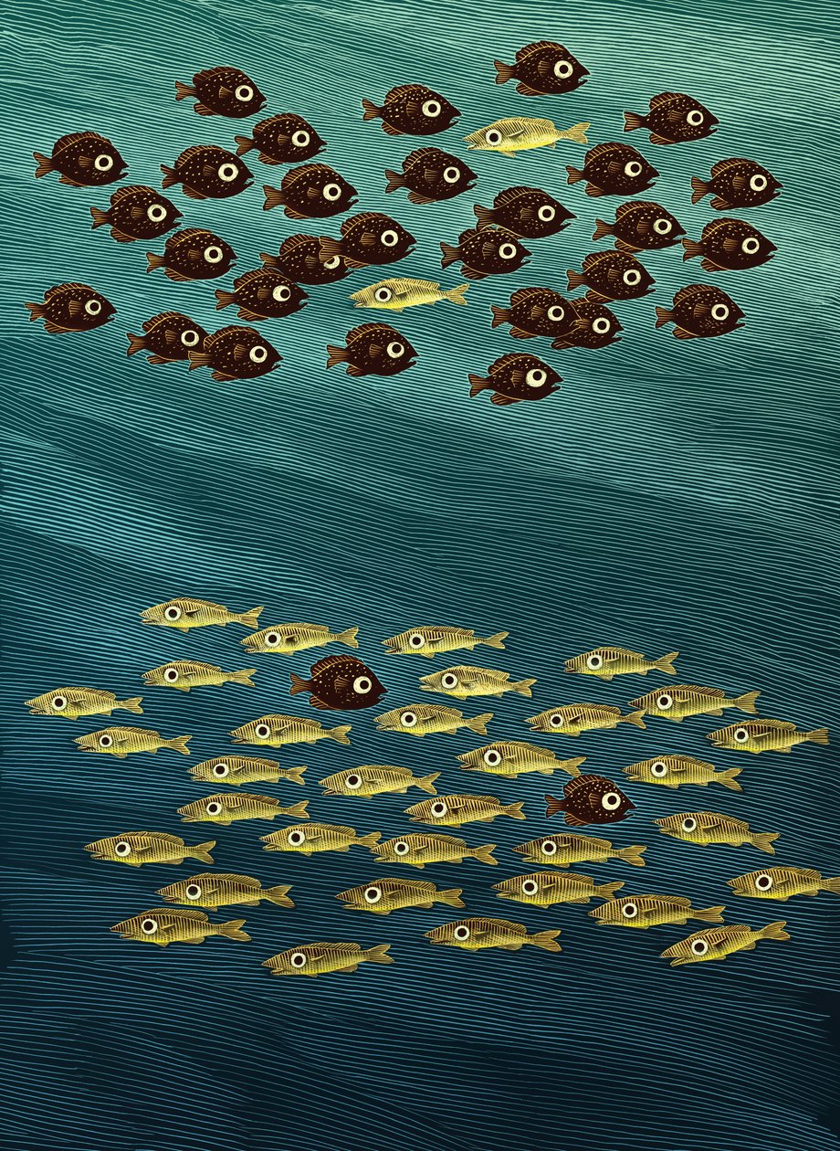 Poisson, 2010 (scratchboard, colorisé numériquement) - Scott McKowen