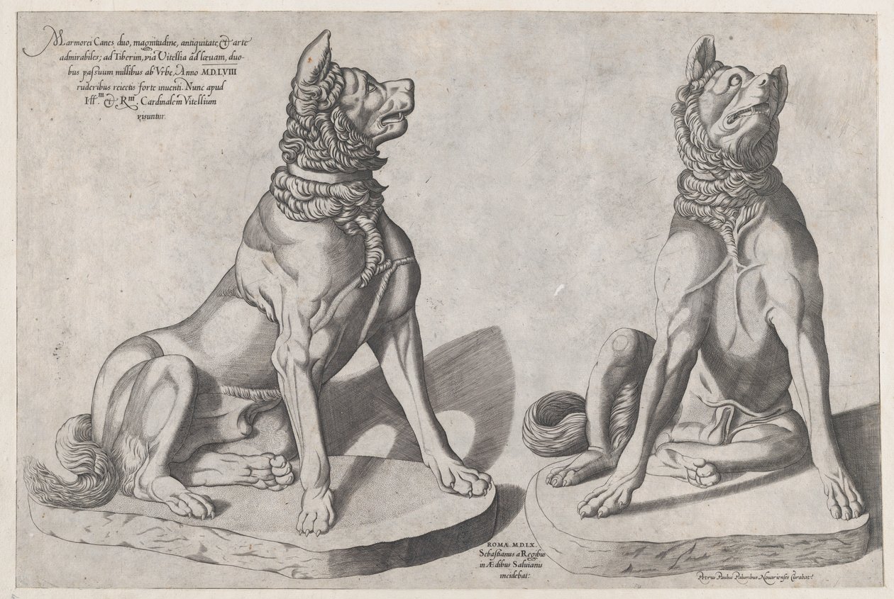 Speculum Romanae Magnificentiae : Deux chiens - Sebastiano di Re