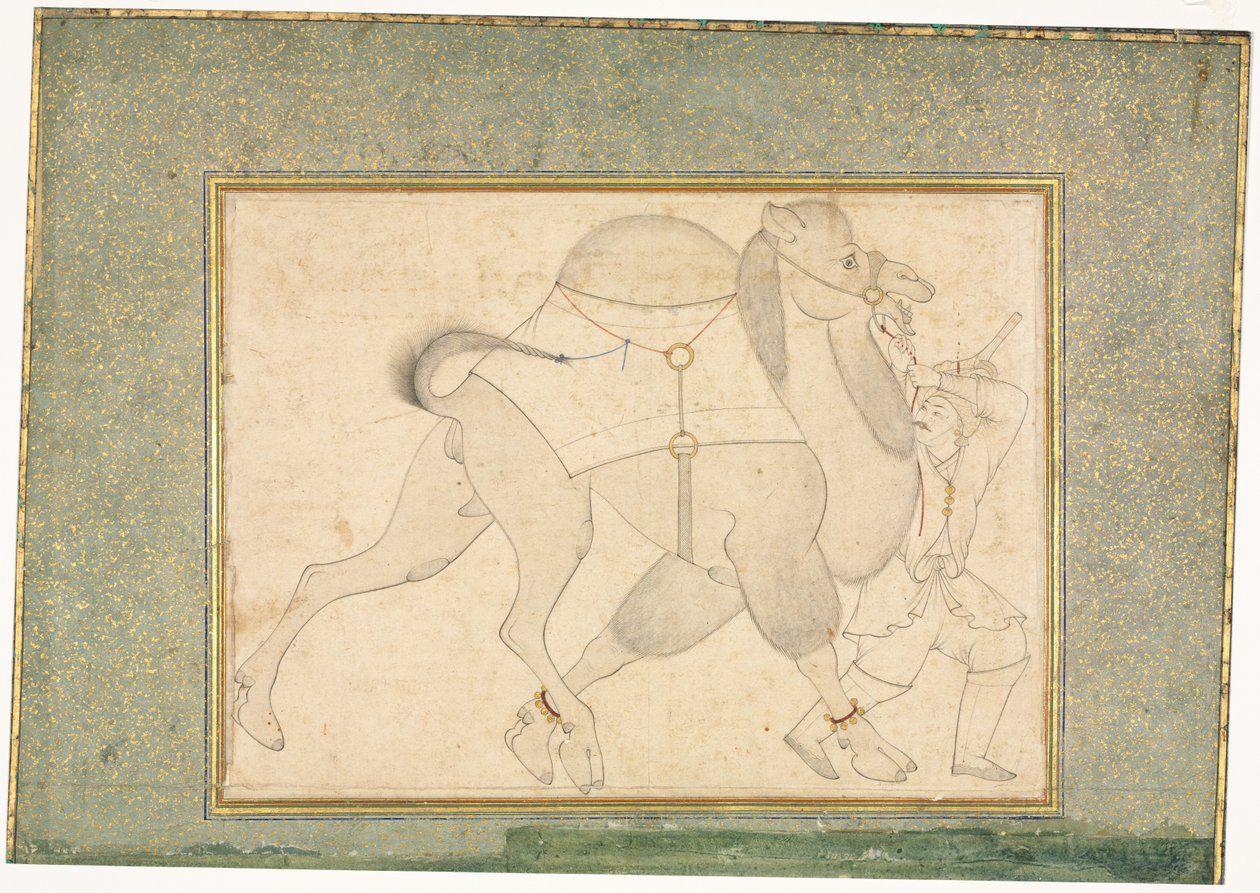 Chameau et Palefrenier, Illustration d