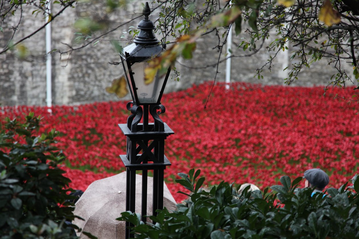 Terres et mers de sang balayées par le vent, Tour de Londres - Sheldon Marshall