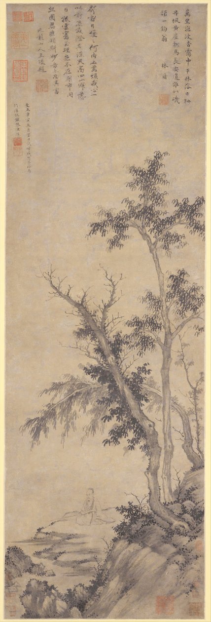 Reclus pêchant près des arbres d