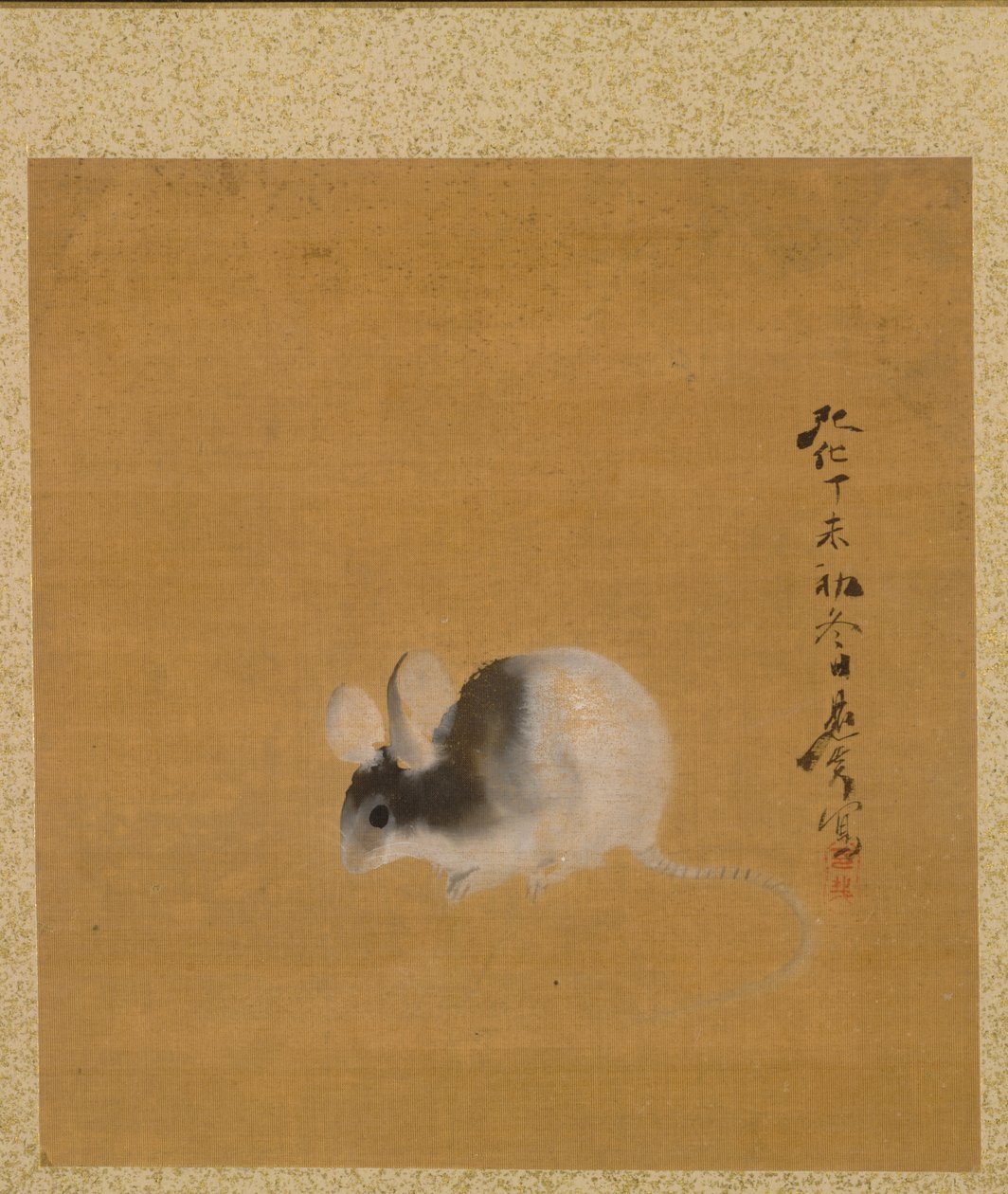 Souris de l