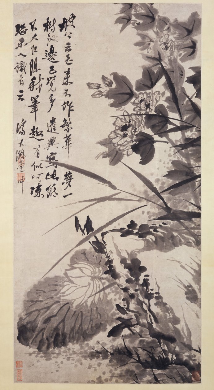 Hibiscus, Lotus et Roche, vers 1705-7 - Shitao