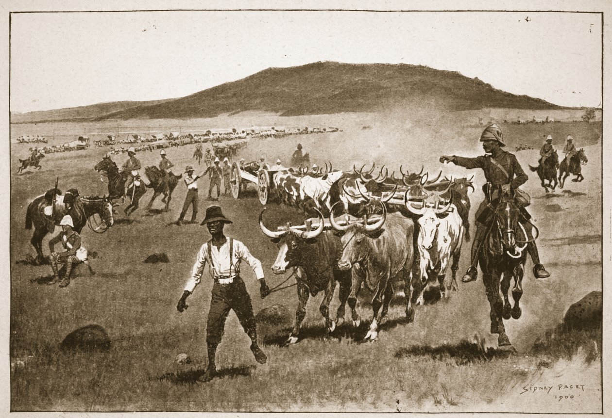 Transport des canons de siège de cinq pouces, illustration de 