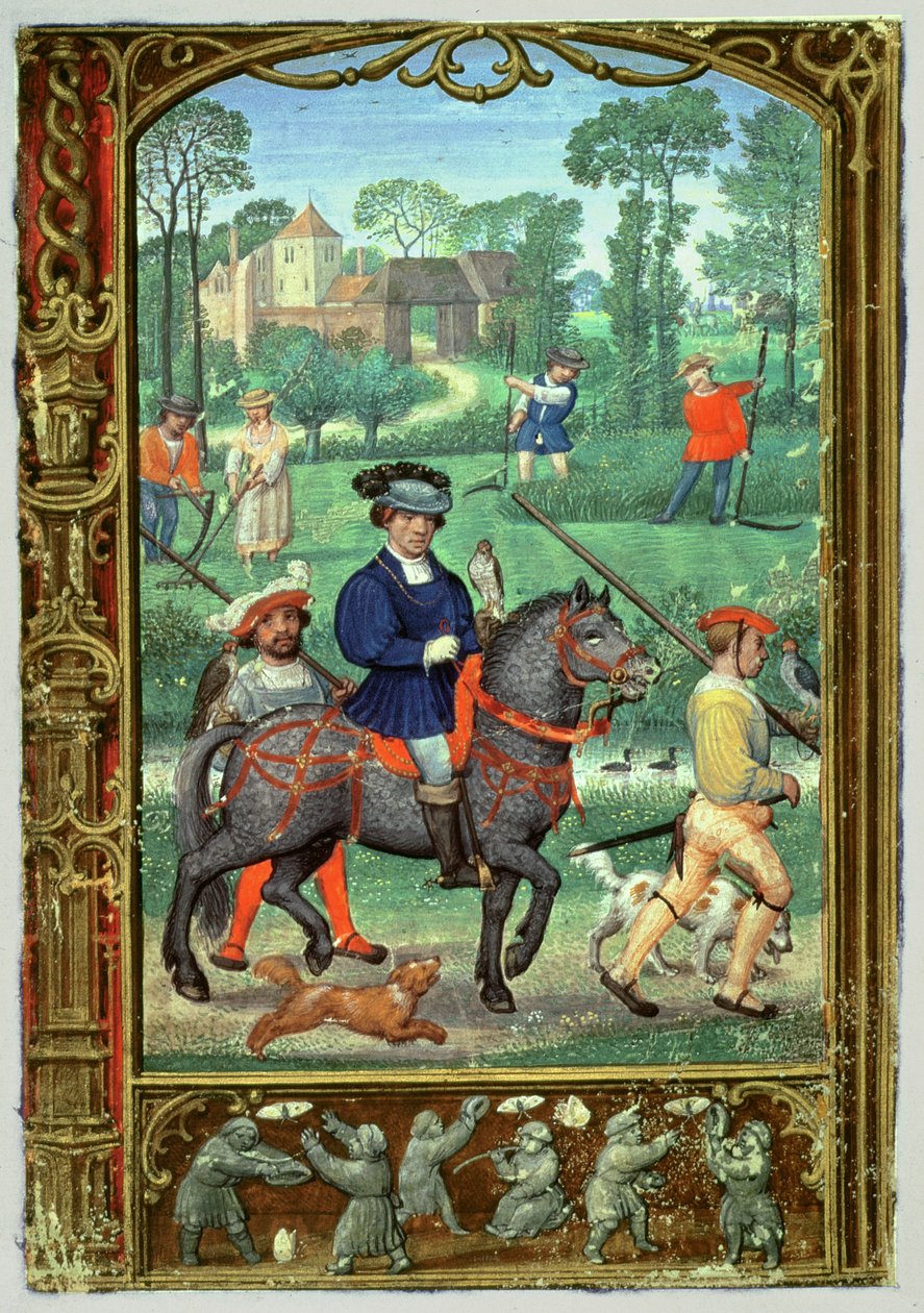 Juillet : Fauconnerie, fenaison et chasse aux papillons, d