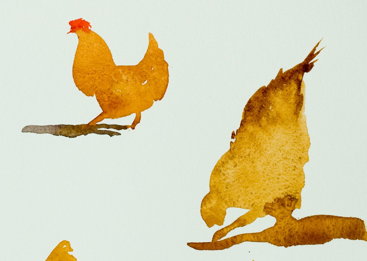 Poulets, un qui se gratte, 2013 (aquarelle) - Simon Fletcher