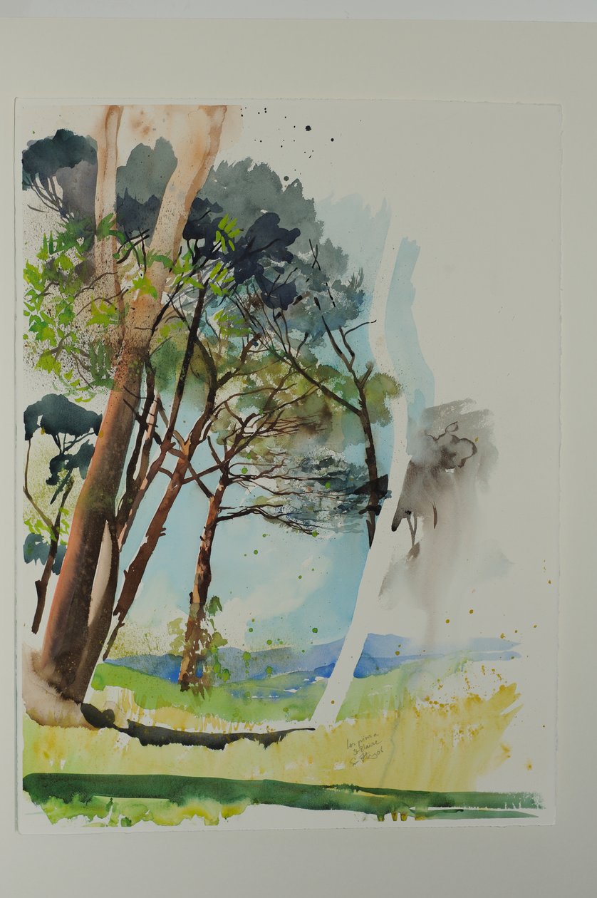 Pins à St. Blaise, 2004 (aquarelle sur papier) - Simon Fletcher